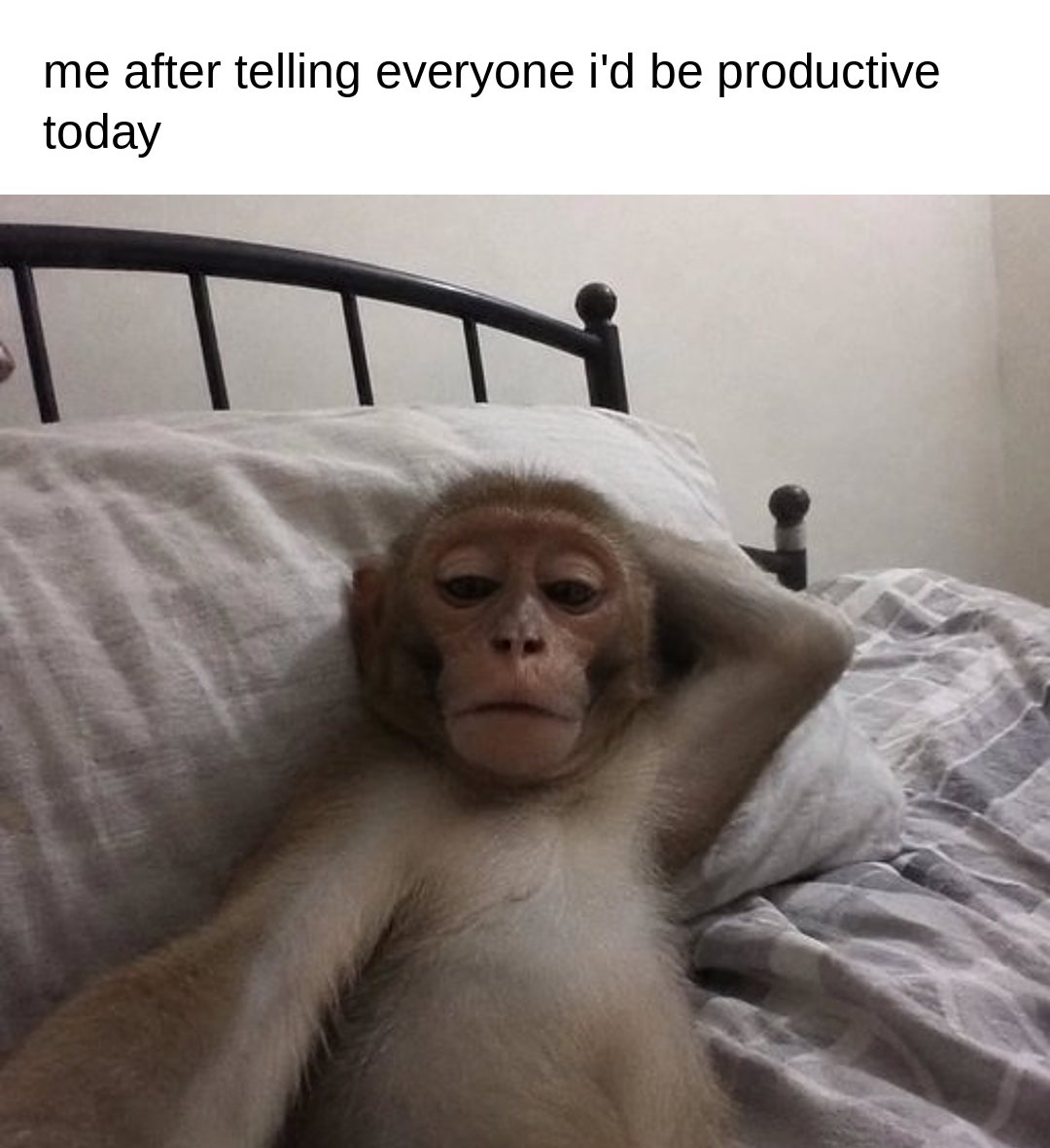 me after telling everyone i'd be productive today