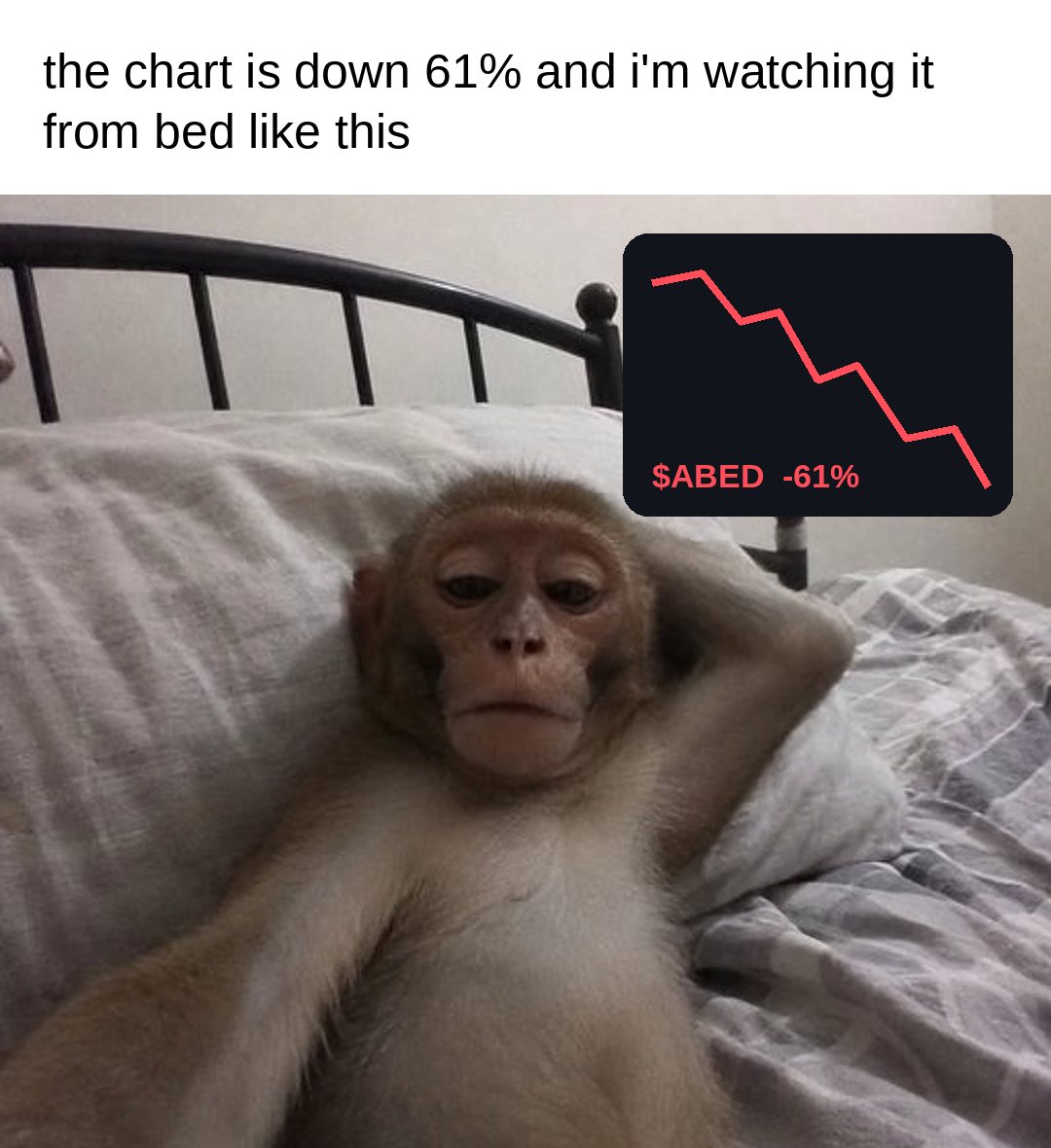 the chart is down 61% and i'm watching it from bed